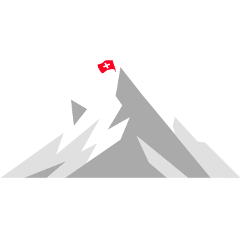 HelveX Logo